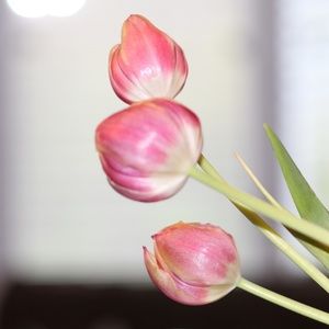 Meet your Posher, Jaime